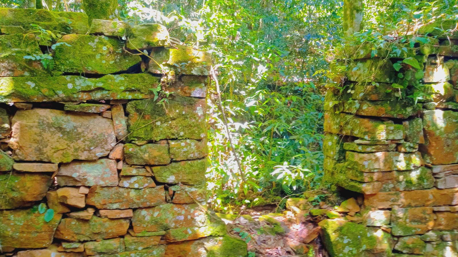 Tras los fantasmas de Bormann y Mengele