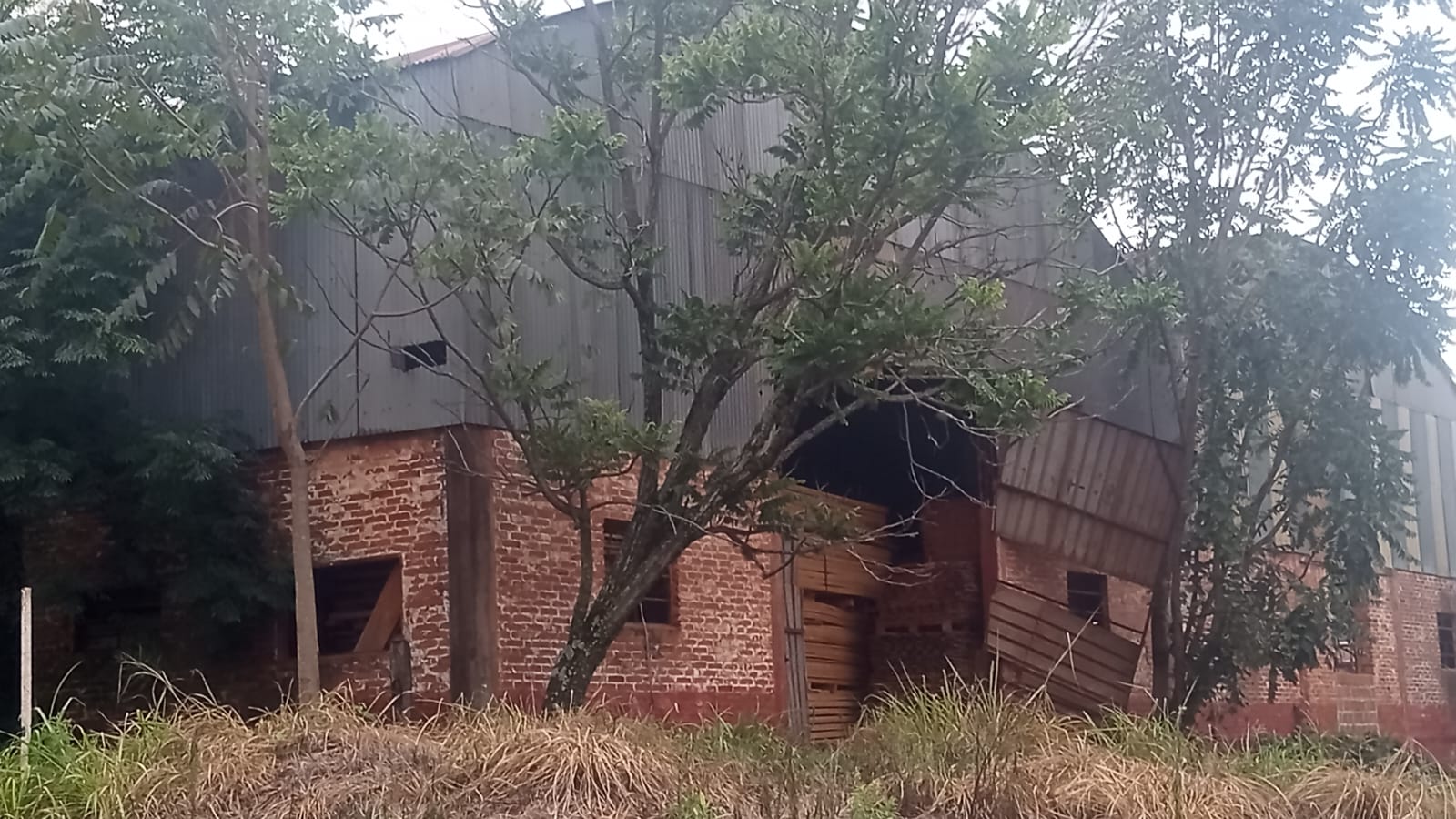 Días de sangre y venganza