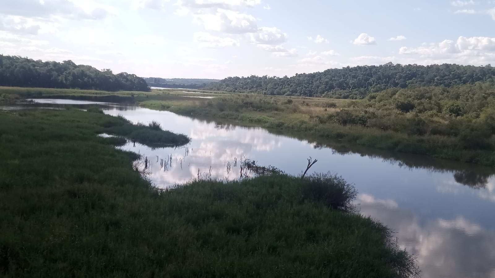 Fiestas sangrientas